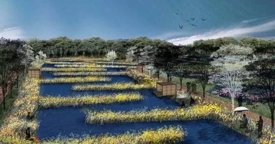 望城滨水湿地公园