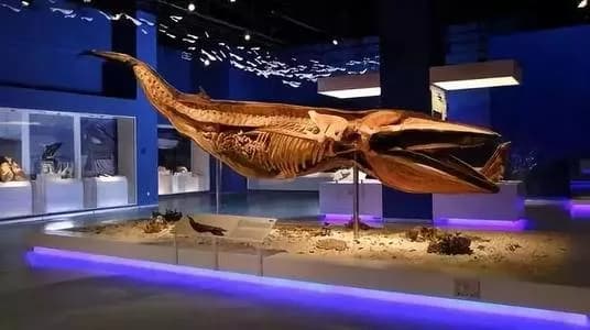 海洋生物博物馆