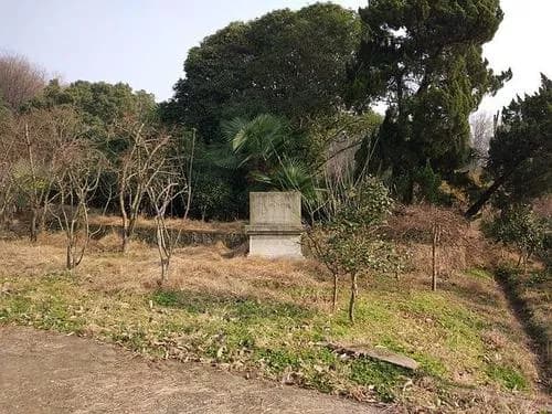 杜茶村墓