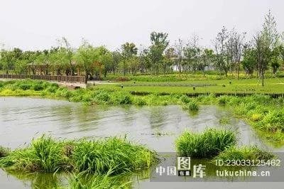 东氿湿地公园