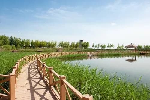 巴楚邦克尔国家湿地公园