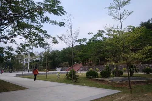 中葵涌公园
