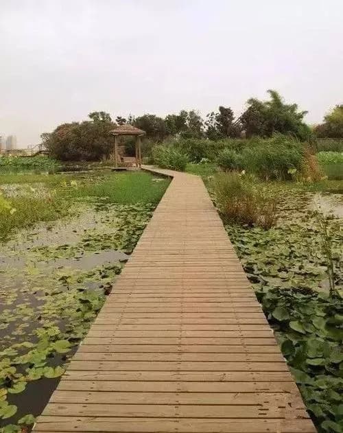 孔目湖湿地公园