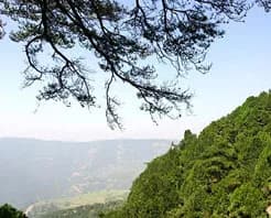 天龙八景