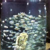 台北海洋生活馆