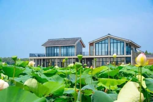 金山郊野公园