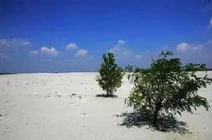 临湘江南大漠