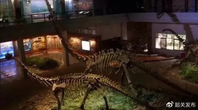 恐龙化石博物馆