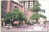 东缉虎营