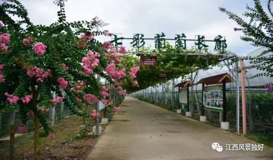 湘东（萍乡）苏维埃政府旧址