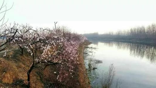 渔台悠情