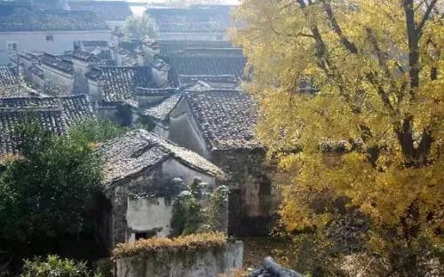 鸭园镇西山遗址