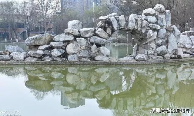 天池和森林