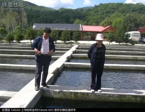 省虹鳟鱼场墓群
