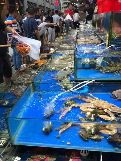 第八海鲜市场