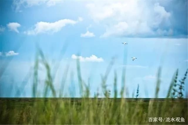 根河湿地旅游区