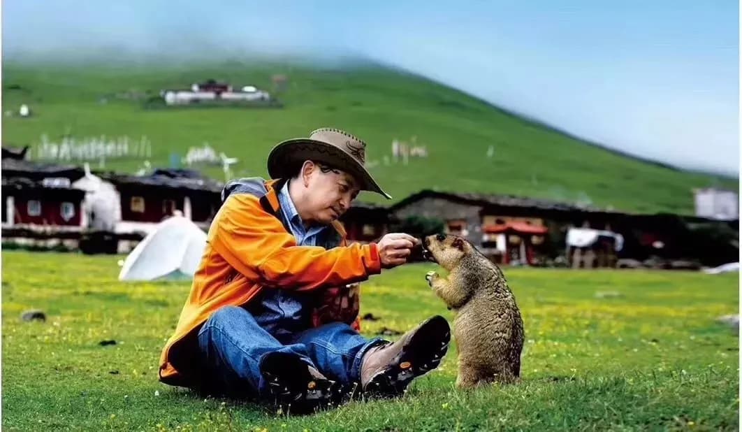 丹巴
