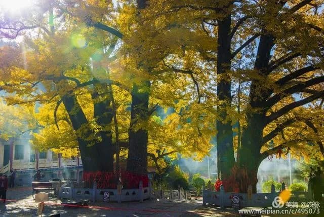 文殊寺