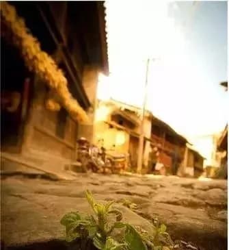 茶马古道-鹦哥嘴