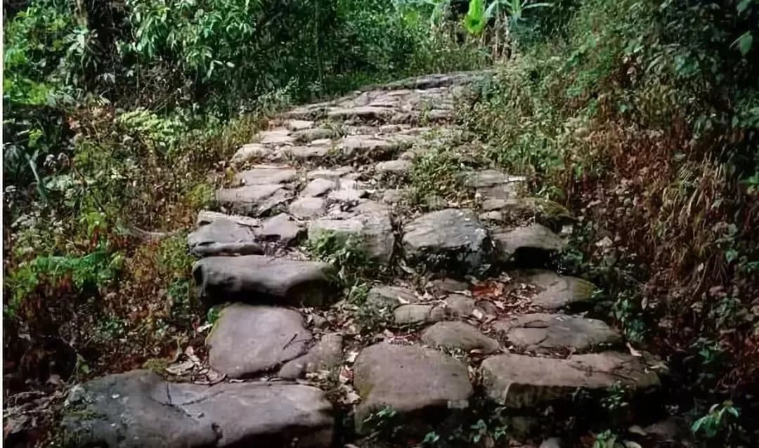 茶马古道-鹦哥嘴