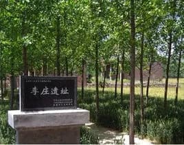 牛集遗址