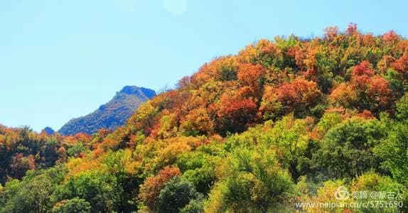 朝阳自然保护区