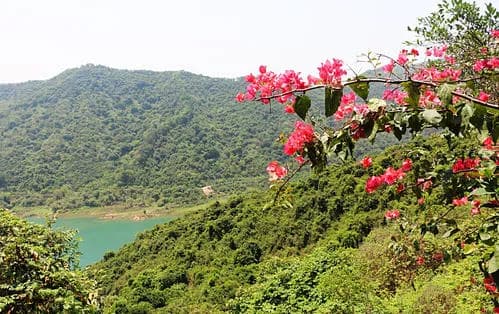 梅林山森林公园