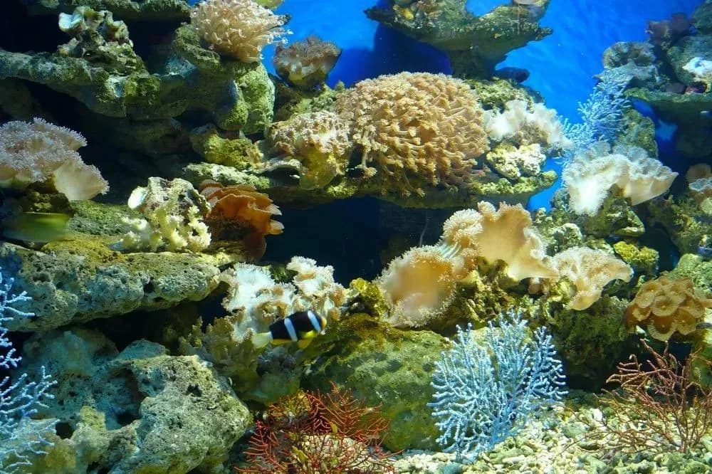 金沙湾旅游度假区