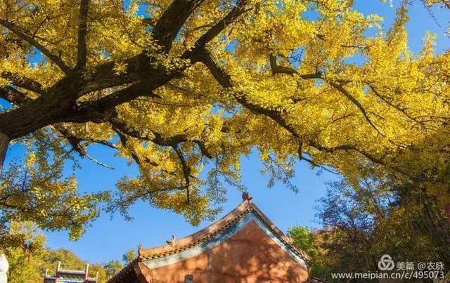 文殊寺