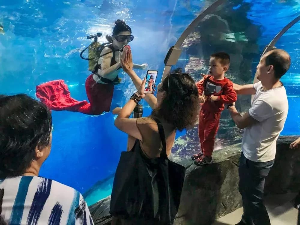 金沙湾旅游度假区