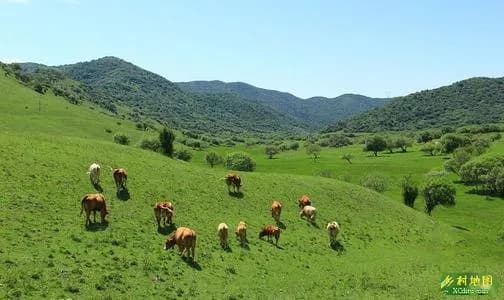关山云凤风景名胜区