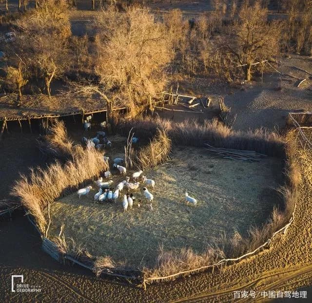 沙漠公路