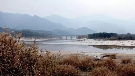围头古渡头