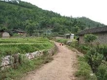 三甲村遗址