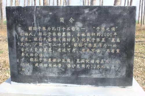 颛孙子张墓