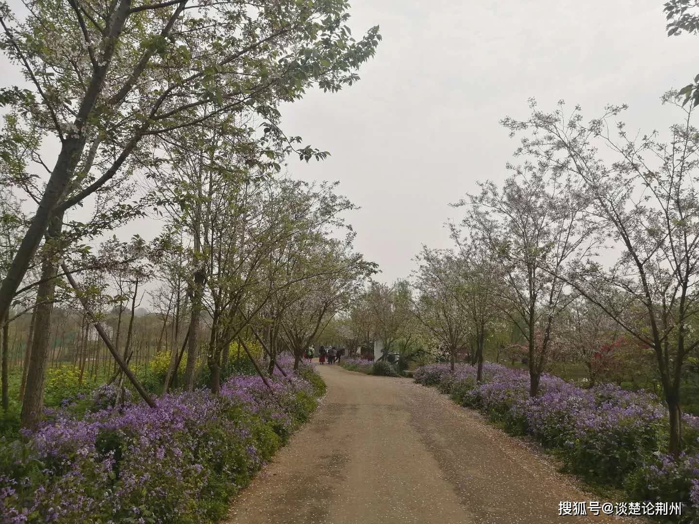 荆州、绿嶂太阴宫壁画