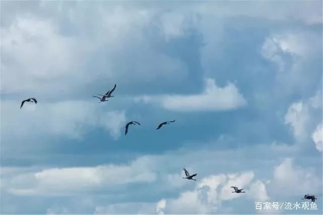 根河湿地旅游区