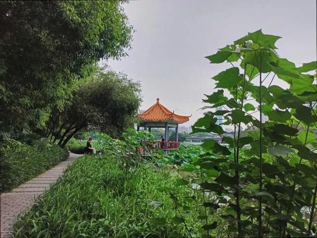 洪湖公园