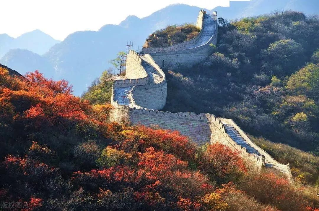 天池和森林