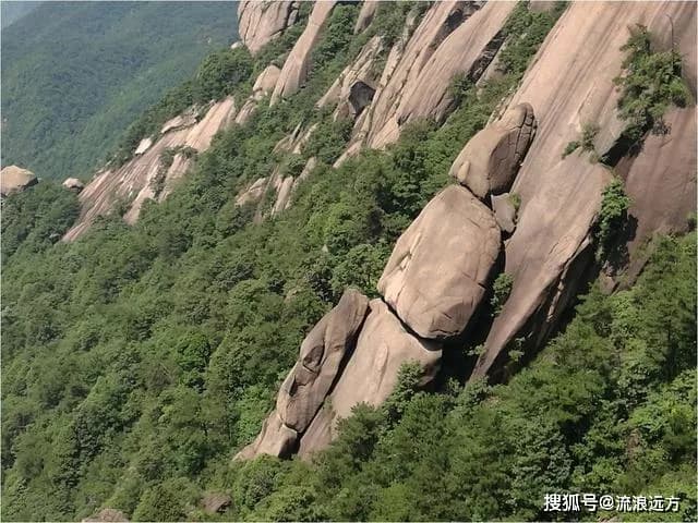 睡美人