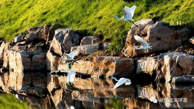 秀水景区