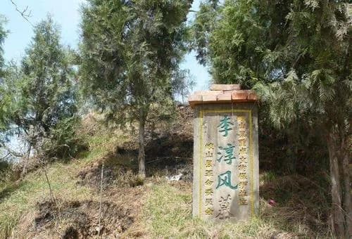 色树背墓群