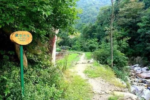 观山岭古道