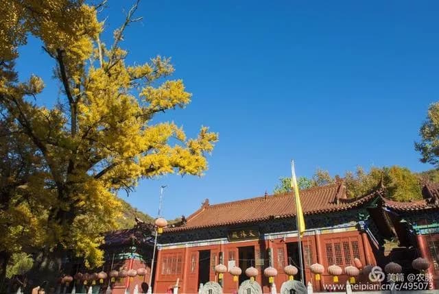 文殊寺