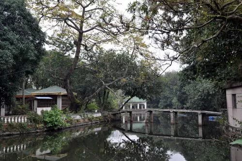 茶东古村