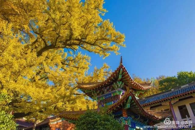 文殊寺