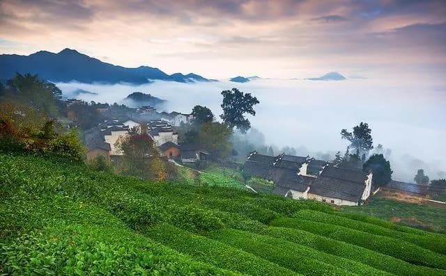 金龙山景区