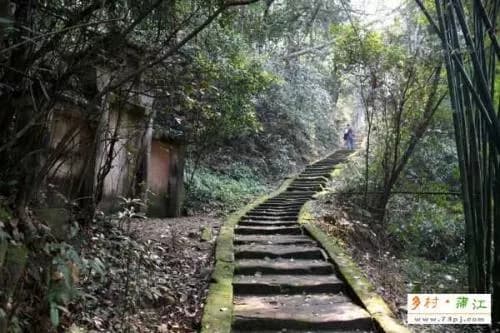 茶马古道-蒲江段