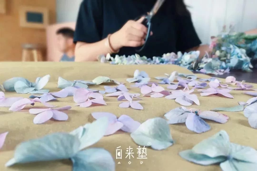 南坑仁和仙桥