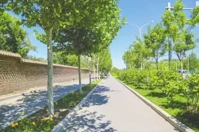 朝阳自然保护区